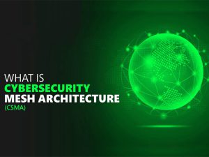 تعریف معماری مش امنیت سایبری