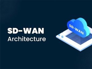 معماری SD-WAN چیست